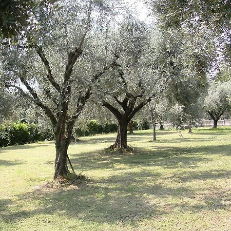 B&B Agli Ulivi Manerba del Garda Exterior foto