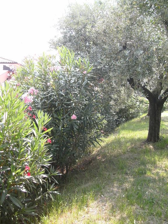 B&B Agli Ulivi Manerba del Garda Exterior foto